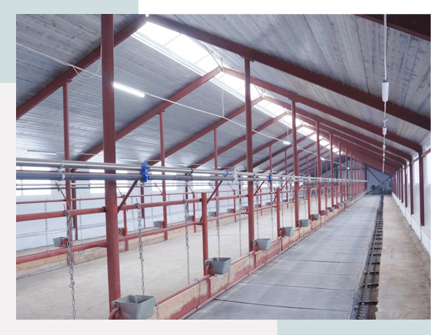 Строительство коровников в Качканаре от 615 руб.