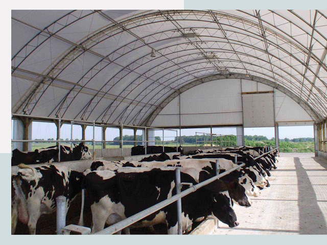 Тентовые коровники в Качканаре